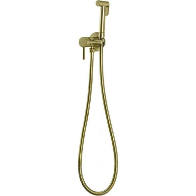 Гигиенический душ со смесителем встраиваемый FILARETE Roun FL100MG, матовое золото фото в интернет-магазине Русалия