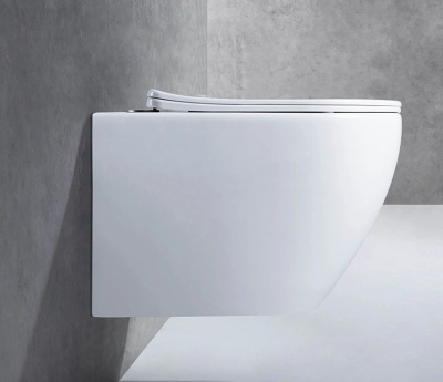 Унитаз подвесной CeramaLux 2196 -1 бело-глянцевый фото в интернет-магазине Русалия