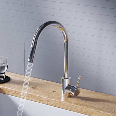 D3007500 Logic кухонный смеситель вытягивающимся изливом Logic, хром фото в интернет-магазине Русалия