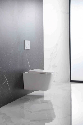 Унитаз подвесной безободковый Либра AQ0530-00 с сиденьем микролифт Aquatek фото в интернет-магазине Русалия