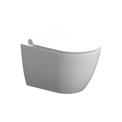 DX36C1701SC Scandinavian Pure подвесной унитаз без ободка с сиденьем микролифт фото в интернет-магазине Русалия